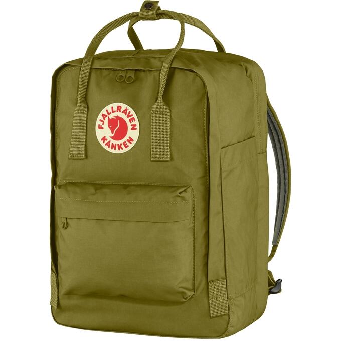 kankenLaptop15_631:Foliage Green23
